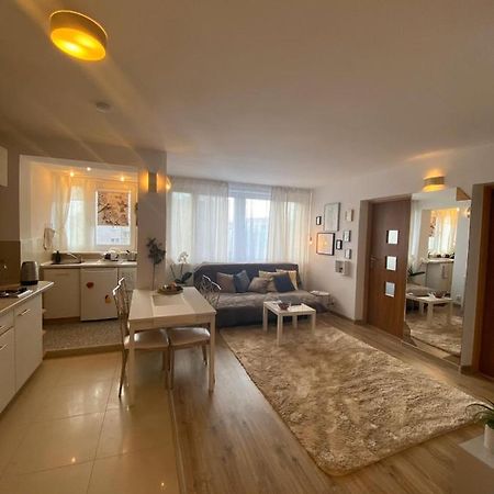 Vicky - New Apartment Centrum Srodmiescie ワルシャワ エクステリア 写真