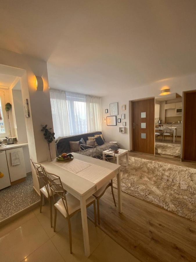 Vicky - New Apartment Centrum Srodmiescie ワルシャワ エクステリア 写真